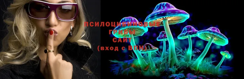 Галлюциногенные грибы Magic Shrooms Сортавала